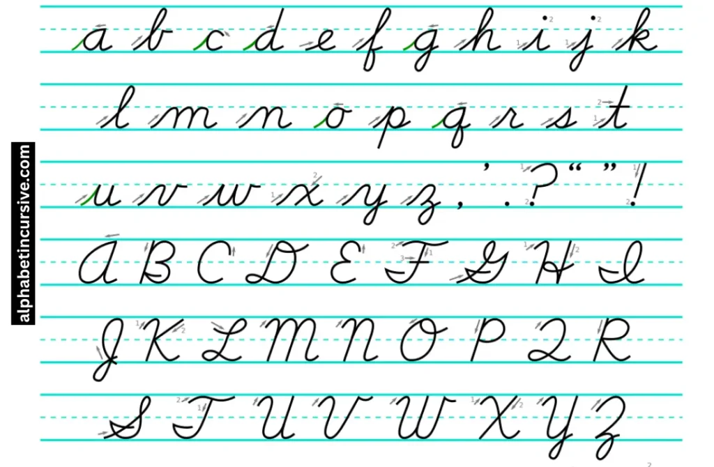 D'Nealian Cursive 